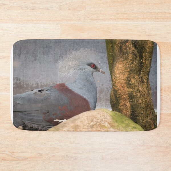 Item preview, Red-eyed bird designed and sold by XaviFotografia.