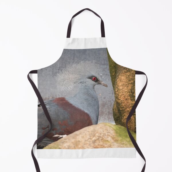 Item preview, Red-eyed bird designed and sold by XaviFotografia.