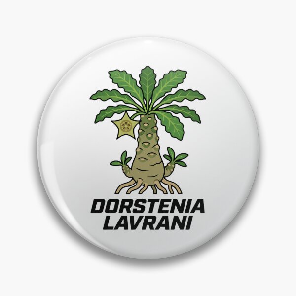 Item preview, Dorstenia Lavrani Caudex Plant Bold Street Graphic designed and sold by GreenDivisionJP.