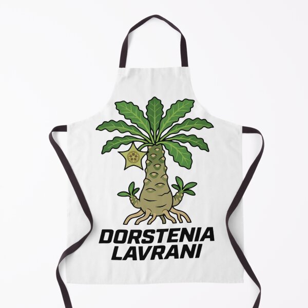 Item preview, Dorstenia Lavrani Caudex Plant Bold Street Graphic designed and sold by GreenDivisionJP.