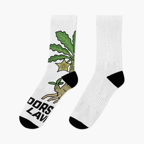 Item preview, Dorstenia Lavrani Caudex Plant Bold Street Graphic designed and sold by GreenDivisionJP.