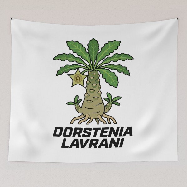 Item preview, Dorstenia Lavrani Caudex Plant Bold Street Graphic designed and sold by GreenDivisionJP.