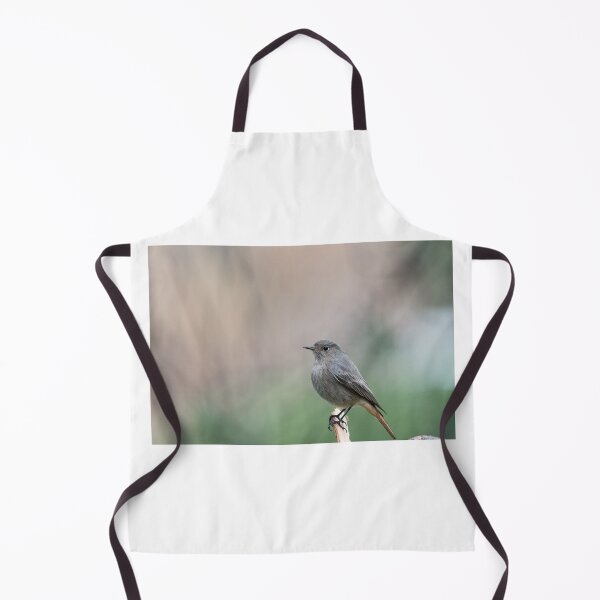 Item preview, Redstart designed and sold by XaviFotografia.