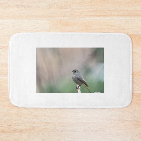 Item preview, Redstart designed and sold by XaviFotografia.