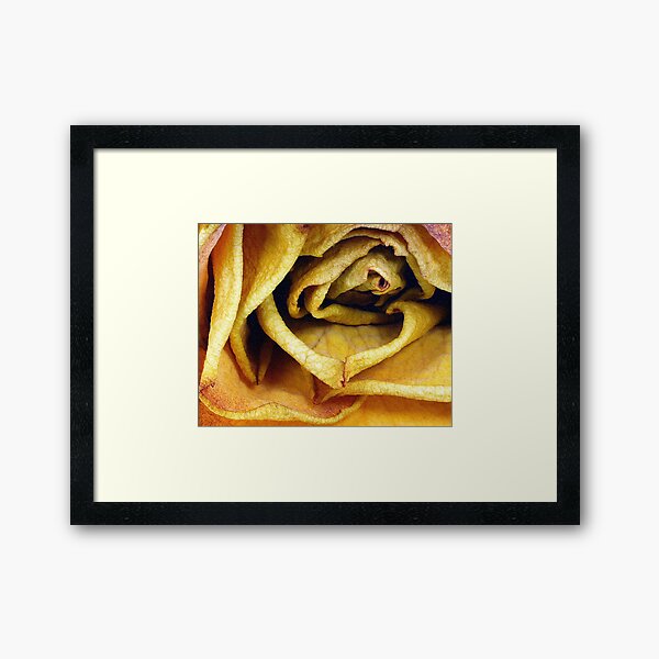 ~ Aging Beauty ~ Framed Art Print