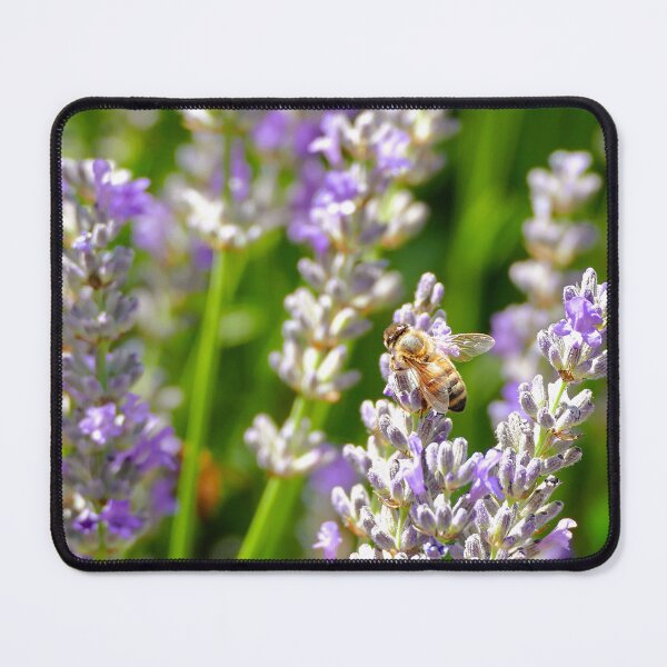 Item preview, Honey Bee on the Purple Lavender designed and sold by jaynerushton.