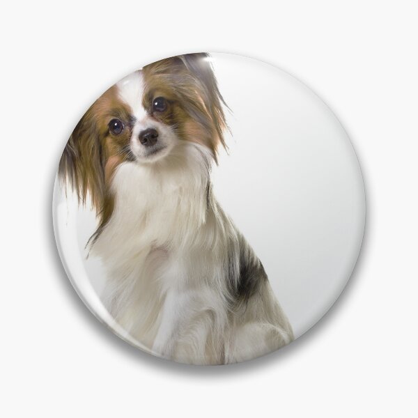 Item preview, Papillon Dog Portrait designed and sold by SHAN-NO.