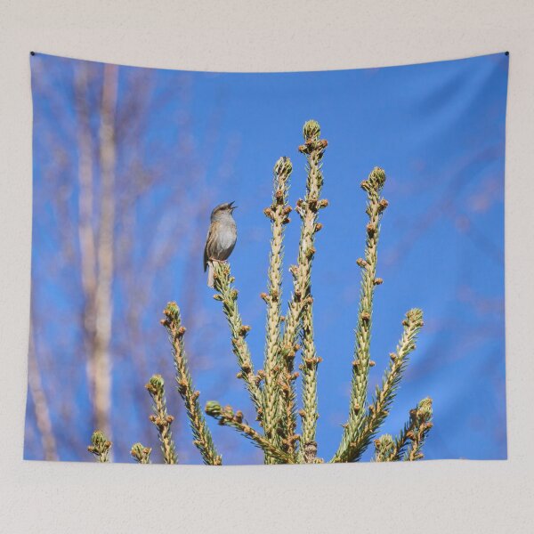 Item preview, Top songs. Dunnock designed and sold by Jouko Lehto Photography.
