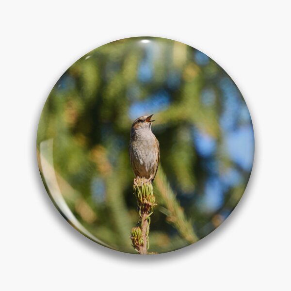 Artikelvorschau, Grüne Bühne. Dunnock entworfen und verkauft von Jouko Lehto Photography.