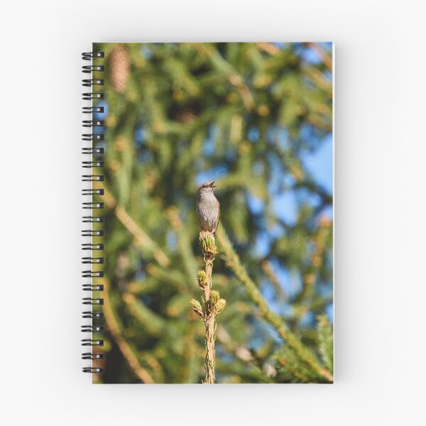 Item preview, Green stage. Dunnock designed and sold by Jouko Lehto Photography.
