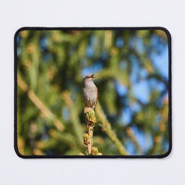 Item preview, Green stage. Dunnock designed and sold by Jouko Lehto Photography.