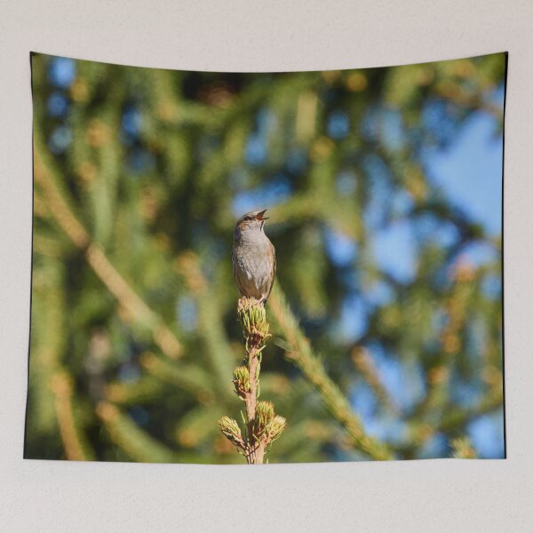 Item preview, Green stage. Dunnock designed and sold by Jouko Lehto Photography.