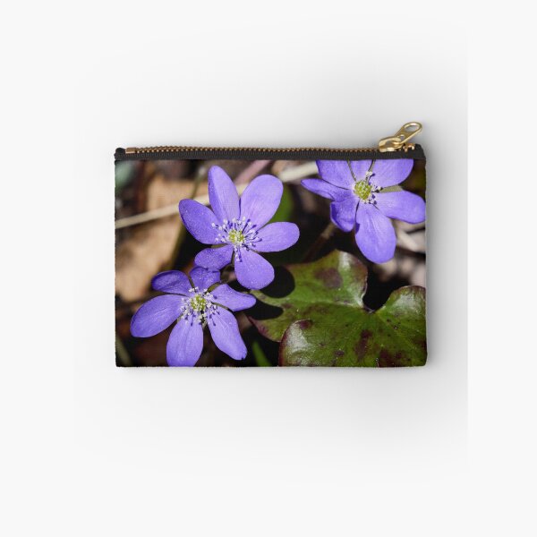 Item preview, Trio. Common hepatica designed and sold by Jouko Lehto Photography.
