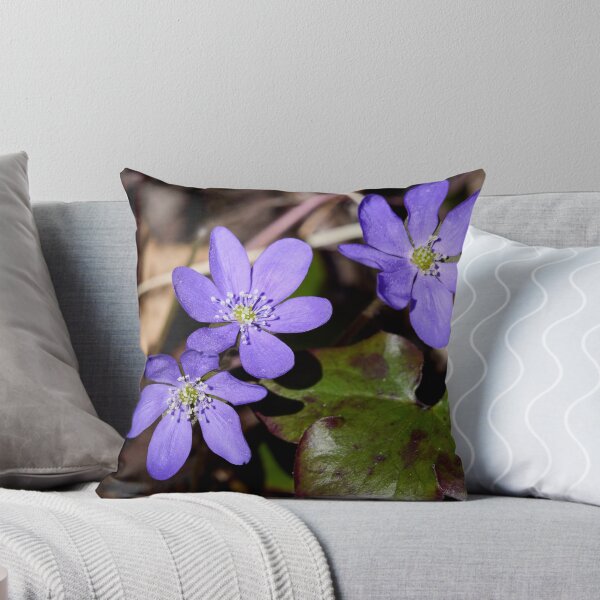 Item preview, Trio. Common hepatica designed and sold by Jouko Lehto Photography.