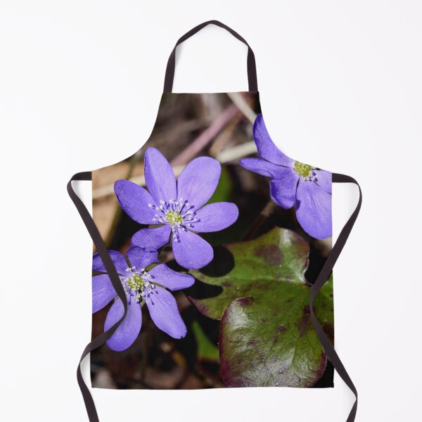 Item preview, Trio. Common hepatica designed and sold by Jouko Lehto Photography.