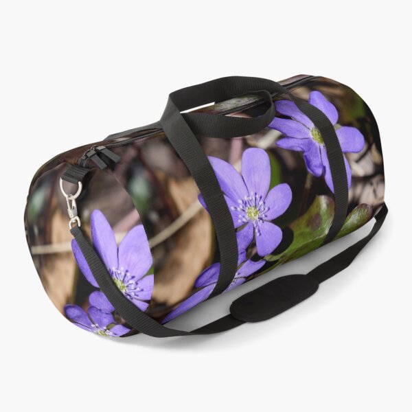 Item preview, Trio. Common hepatica designed and sold by Jouko Lehto Photography.