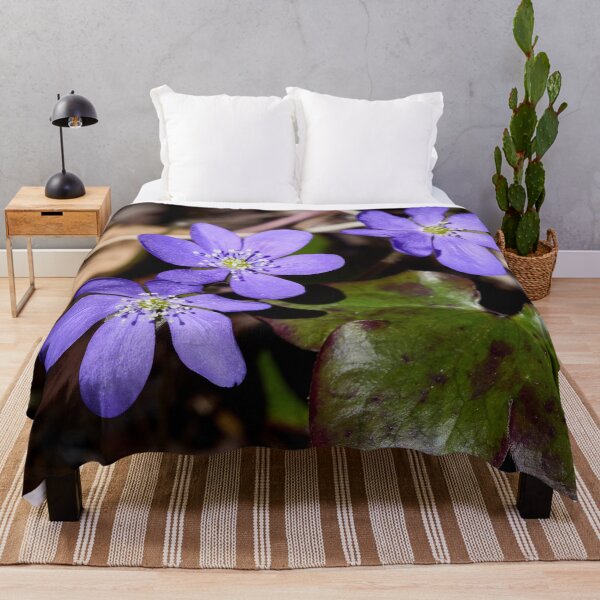 Item preview, Trio. Common hepatica designed and sold by Jouko Lehto Photography.