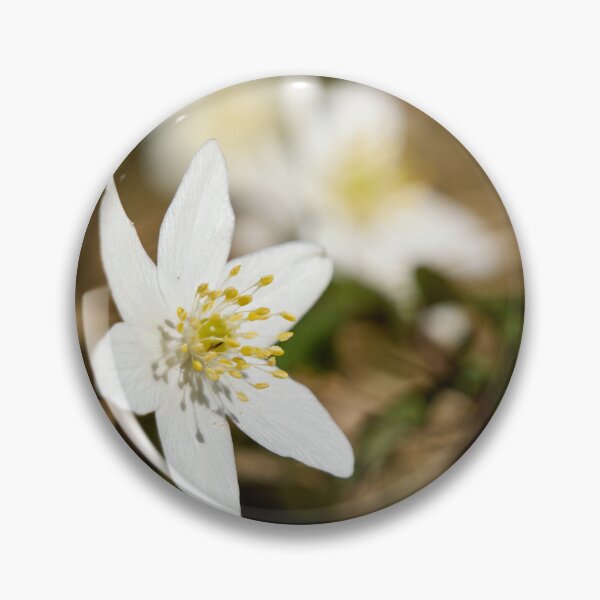 Item preview, Springtime. Wood anemone designed and sold by Jouko Lehto Photography.