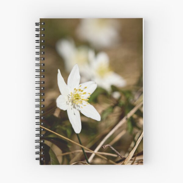 Item preview, Springtime. Wood anemone designed and sold by Jouko Lehto Photography.