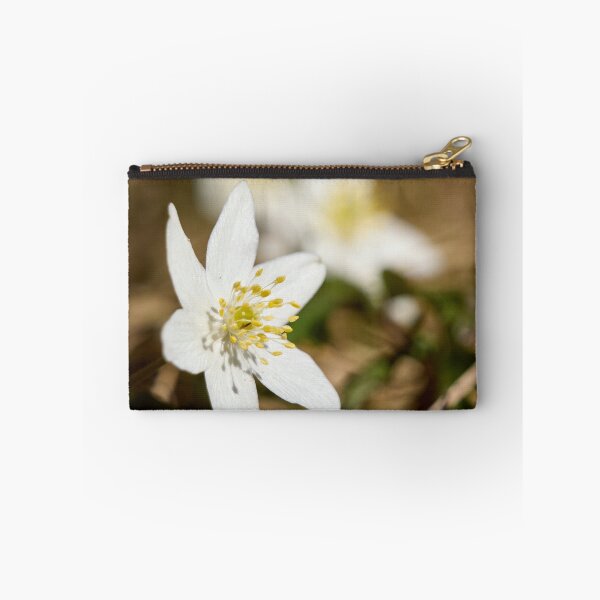 Item preview, Springtime. Wood anemone designed and sold by Jouko Lehto Photography.