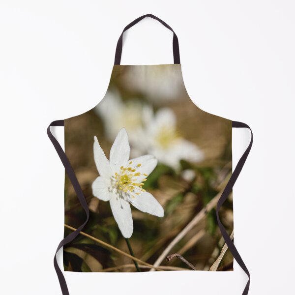 Item preview, Springtime. Wood anemone designed and sold by Jouko Lehto Photography.