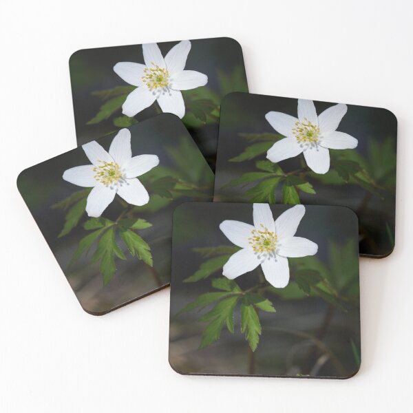 Item preview, Spot of light. Wood anemone designed and sold by Jouko Lehto Photography.