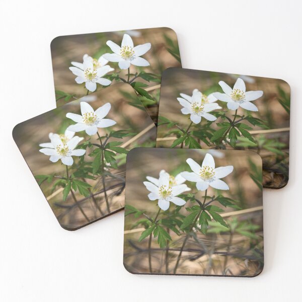 Item preview, Windflower . Wood anemone designed and sold by Jouko Lehto Photography.