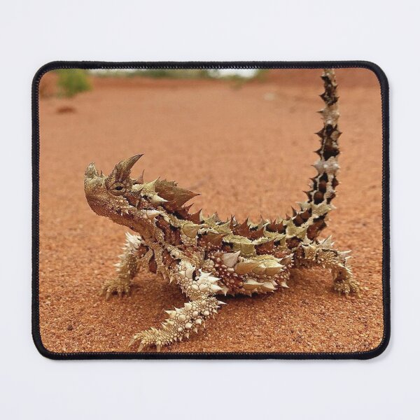 Item preview, THORNY DEVIL, NATIVE TO AUSTRALIA designed and sold by AussieAl.