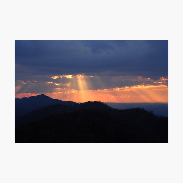 ~ Untitled ~ Photographic Print