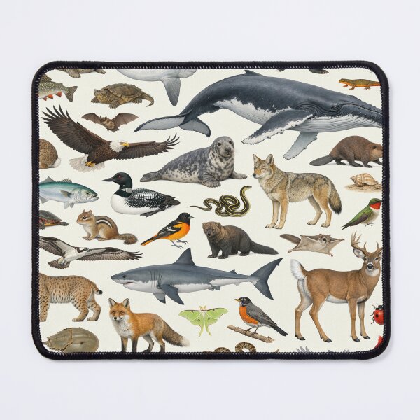 Item preview, Animals of Massachusetts Retro Style Identification Chart designed and sold by kakarikihill.