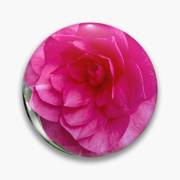 Item preview, Camelia designed and sold by indiafrankk.