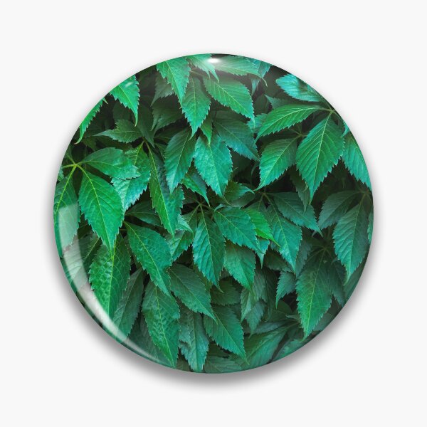 Item preview, Parthenocissus background designed and sold by tony4urban.