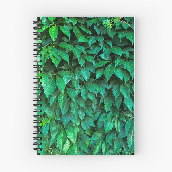 Item preview, Parthenocissus background designed and sold by tony4urban.
