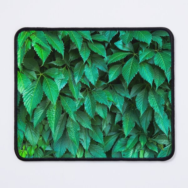 Item preview, Parthenocissus background designed and sold by tony4urban.