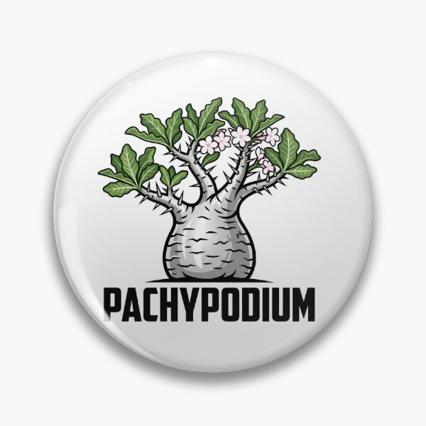 Item preview, Pachypodium Saundersii Caudex Vector Graphic designed and sold by GreenDivisionJP.