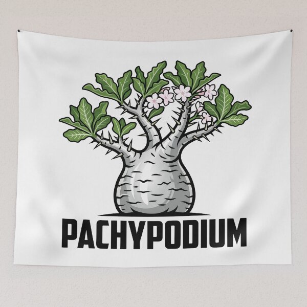 Item preview, Pachypodium Saundersii Caudex Vector Graphic designed and sold by GreenDivisionJP.