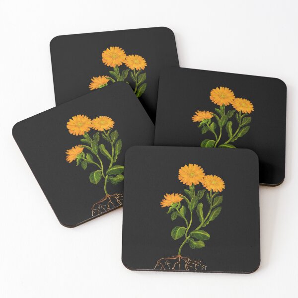 Item preview, Marigold Botanical Illustration Study designed and sold by katherineblower.