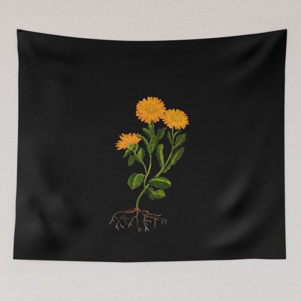 Item preview, Marigold Botanical Illustration Study designed and sold by katherineblower.