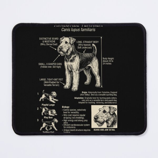 Item preview, Airedale Terrier Scientific Anatomy Biology Dog Lover designed and sold by Kimberley King Art  King Art.