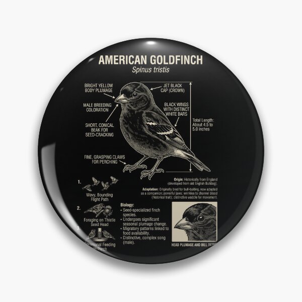 Item preview, American Goldfinch Scientific Anatomy Ornithology Animal Lover designed and sold by Kimberley King Art  King Art.