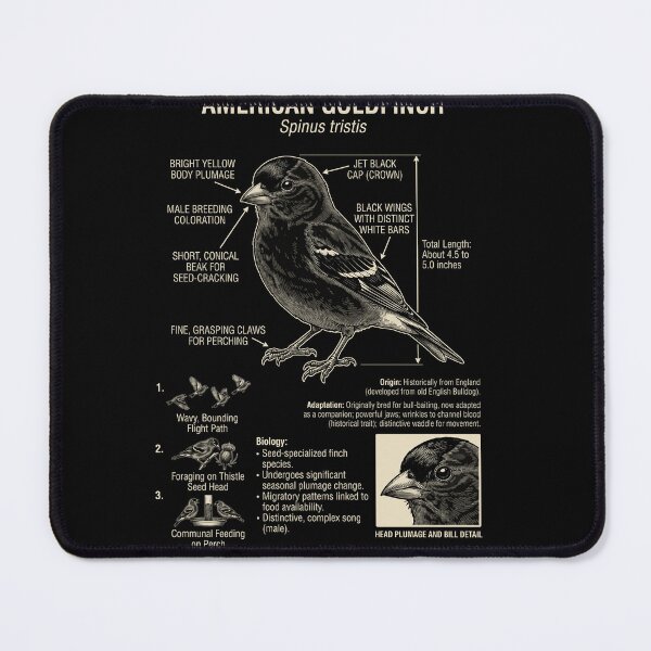 Item preview, American Goldfinch Scientific Anatomy Ornithology Animal Lover designed and sold by Kimberley King Art King Art.