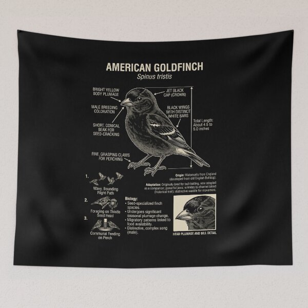 Item preview, American Goldfinch Scientific Anatomy Ornithology Animal Lover designed and sold by Kimberley King Art  King Art.