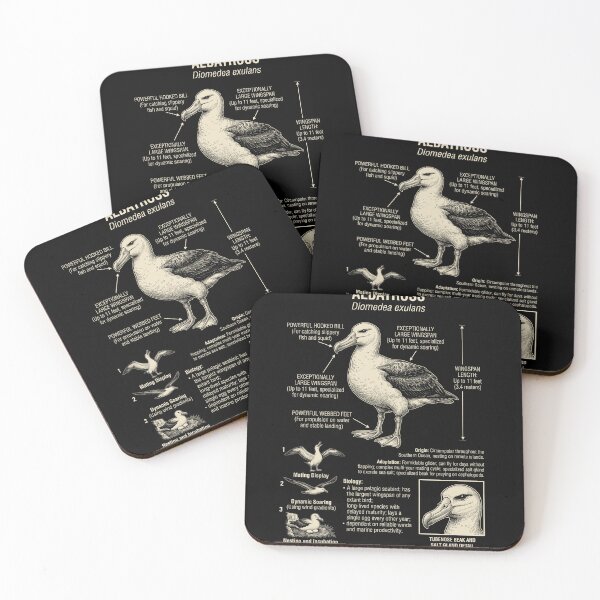 Item preview, Albatross Scientific Anatomy Biology Animal Lover designed and sold by Kimberley King Art  King Art.