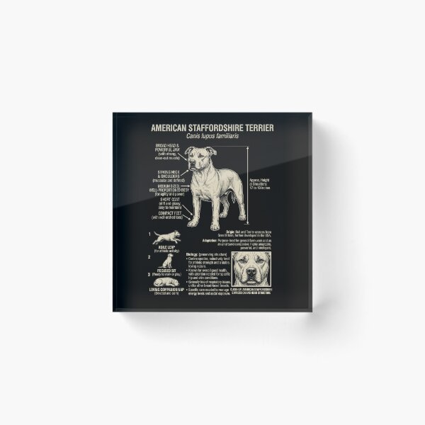 Item preview, American Staffordshire Terrier Scientific Anatomy Biology Dog Lover designed and sold by Kimberley King Art  King Art.