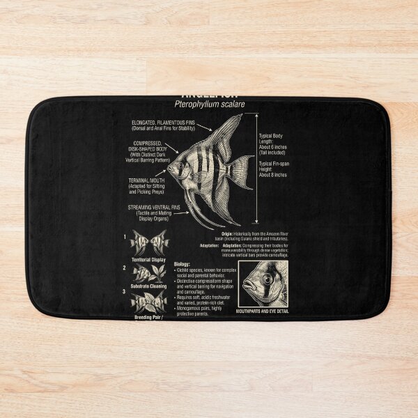 Item preview, Angelfish Scientific Anatomy Biology Animal Lover designed and sold by Kimberley King Art  King Art.