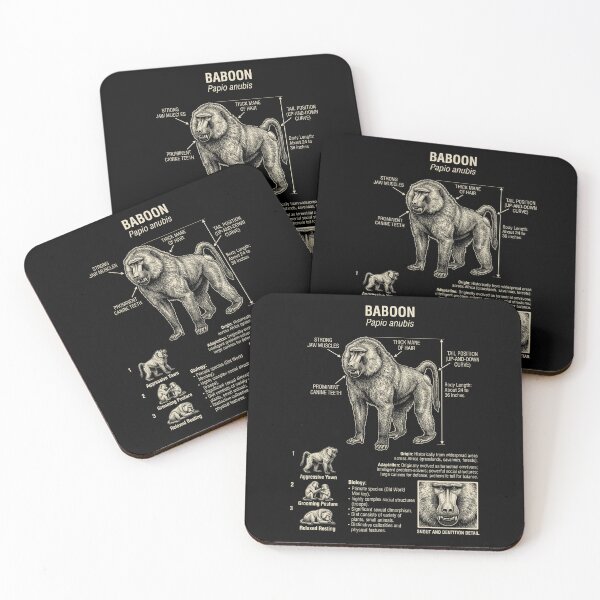 Item preview, Baboon Scientific Anatomy Biology Animal Lover designed and sold by Kimberley King Art  King Art.