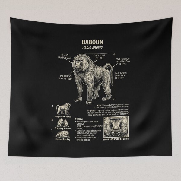 Item preview, Baboon Scientific Anatomy Biology Animal Lover designed and sold by Kimberley King Art  King Art.