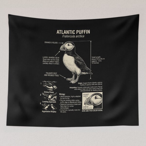 Item preview, Atlantic Puffin Scientific Anatomy Ornithology Animal Lover designed and sold by Kimberley King Art  King Art.
