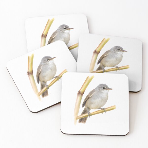 Item preview, Cape Verde Warbler (Acrocephalus brevipennis) designed and sold by HOMETOWN86.