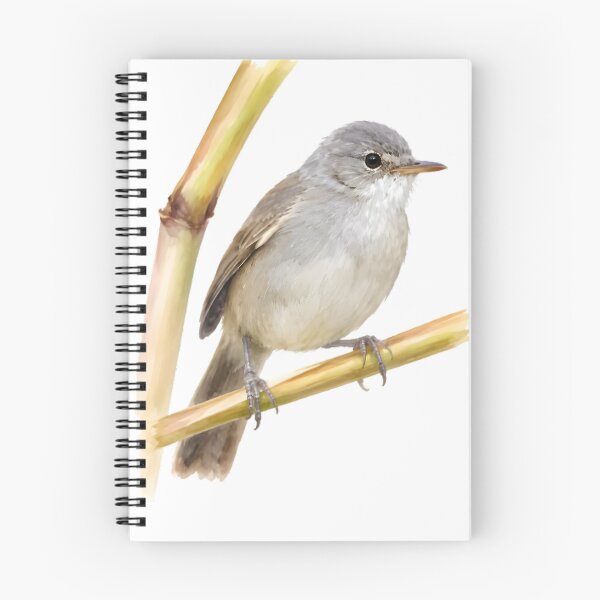 Item preview, Cape Verde Warbler (Acrocephalus brevipennis) designed and sold by HOMETOWN86.